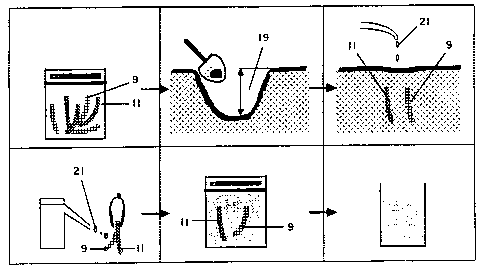 A single figure which represents the drawing illustrating the invention.